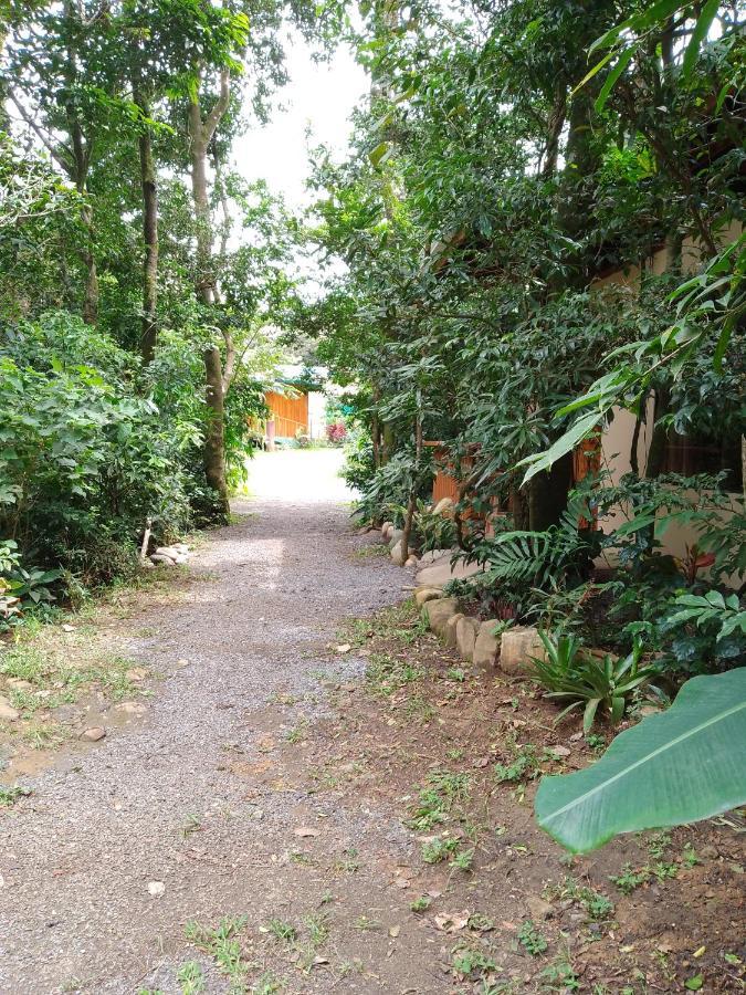 Casitas Del Bosque Monteverde. Dış mekan fotoğraf