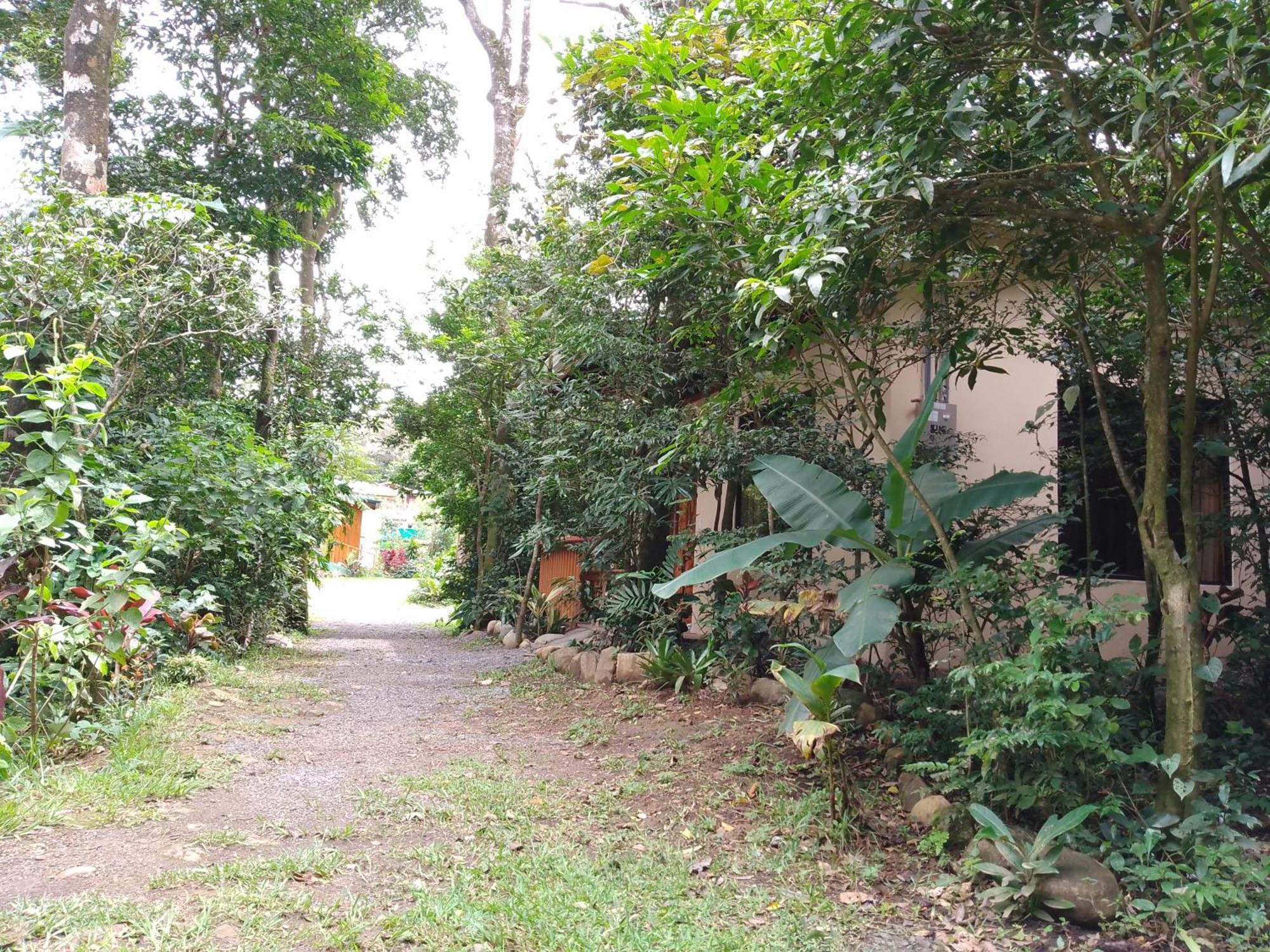 Casitas Del Bosque Monteverde. Oda fotoğraf